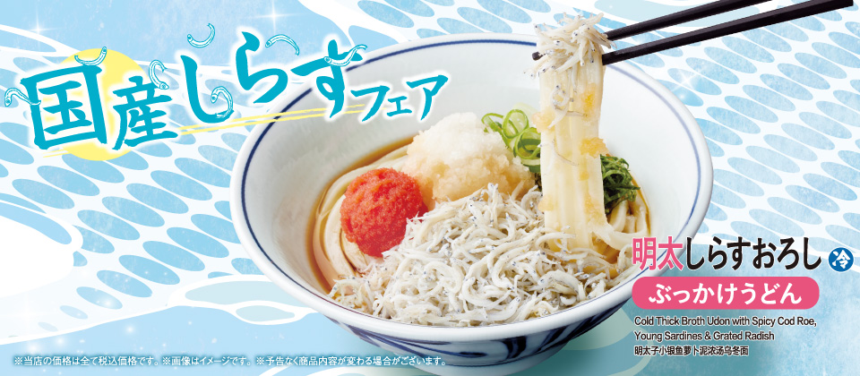 しらすおろしぶっかけうどん
